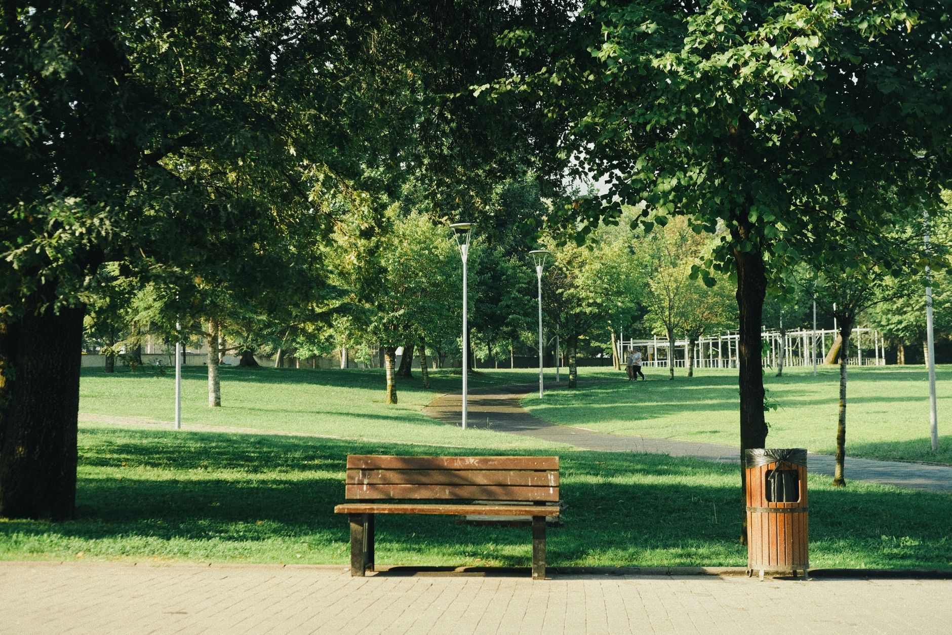 Banc en bois adossé à une haie