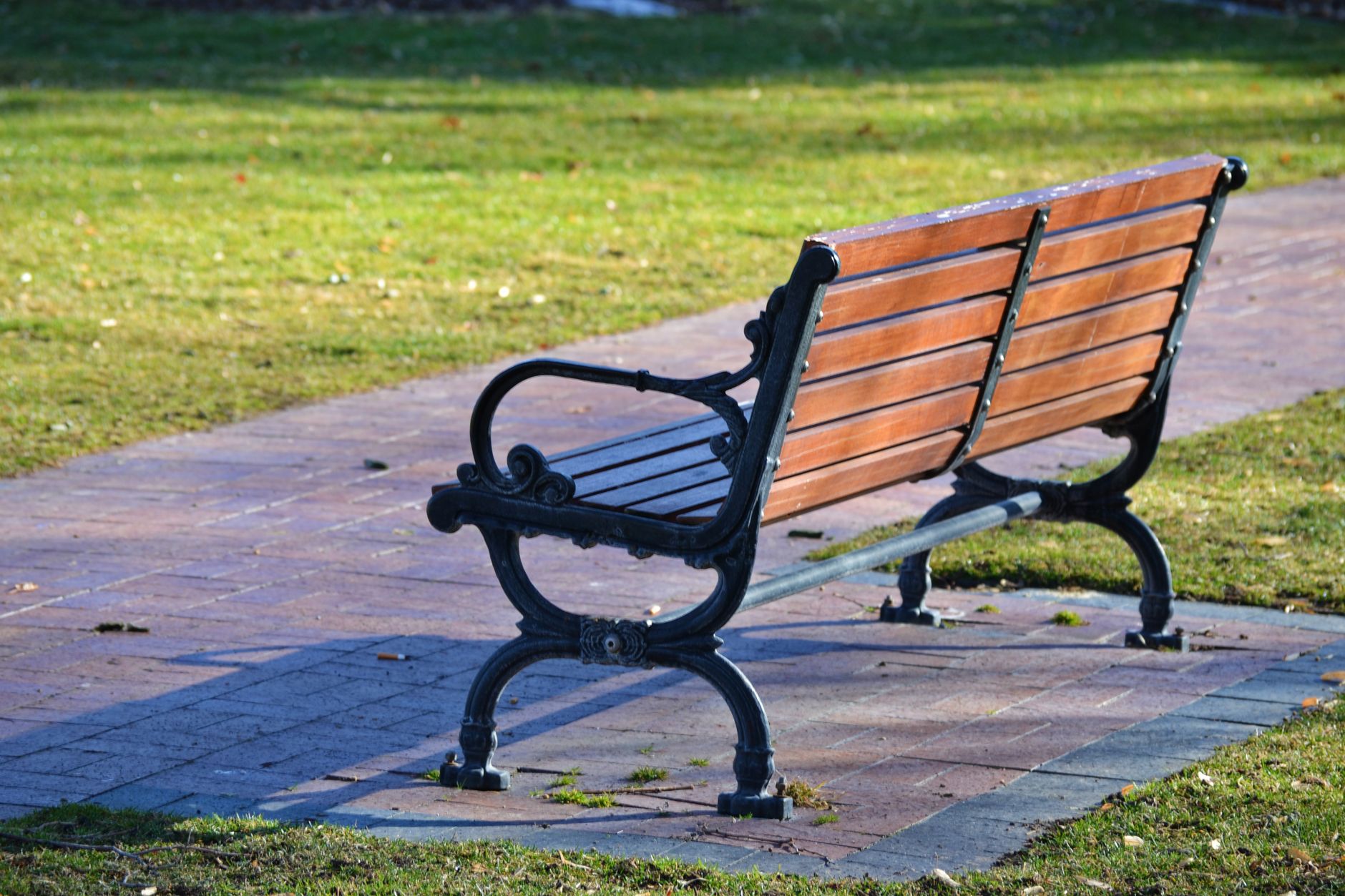 Banc de jardin installé sous un arbre