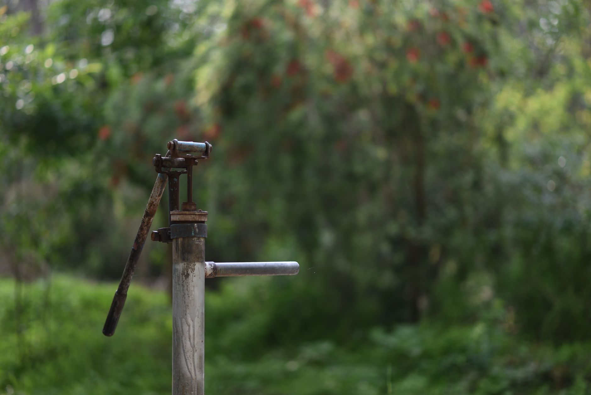 Pompe a eau ancienne installee dans un jardin