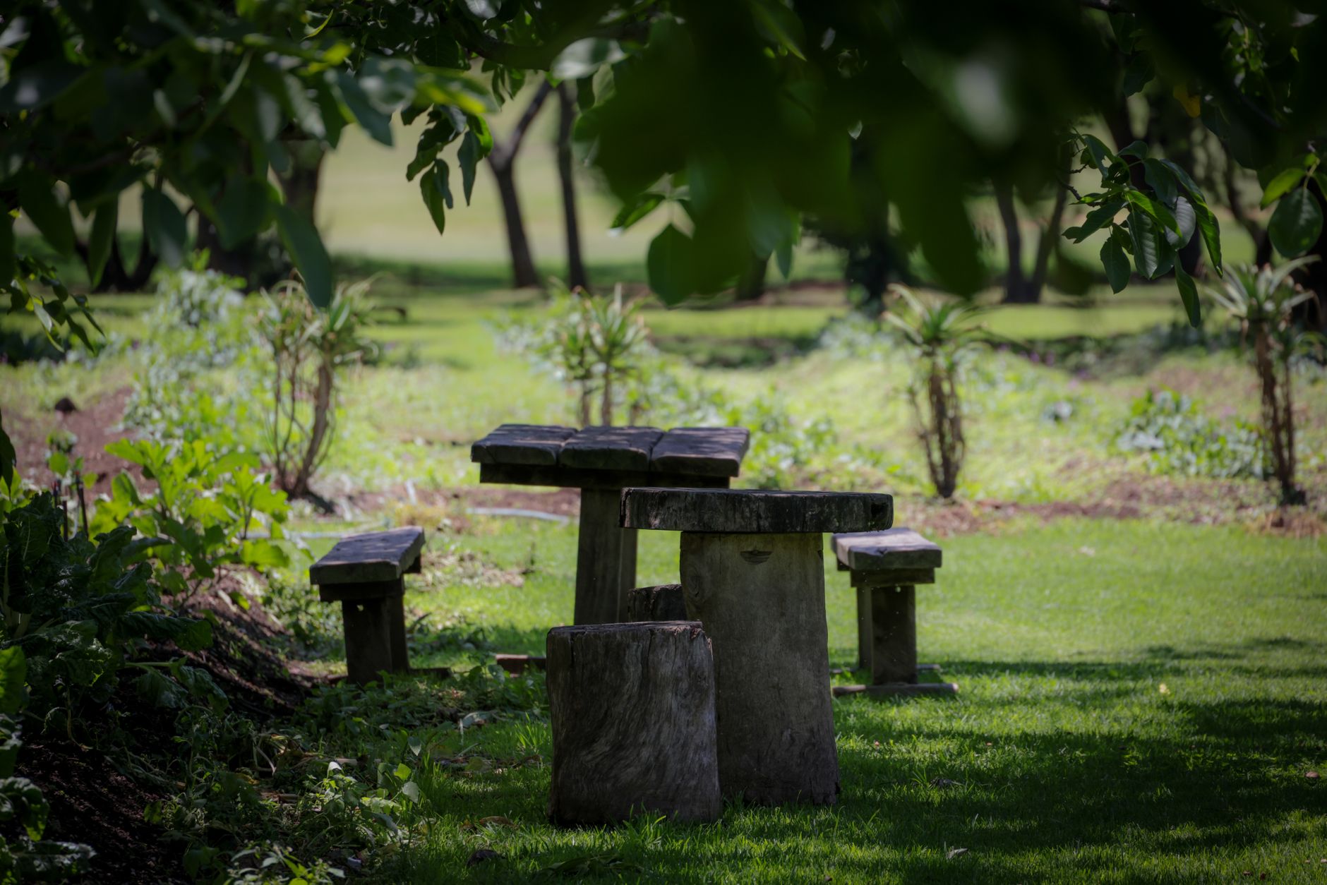 Table et bancs installés sur une terrasse