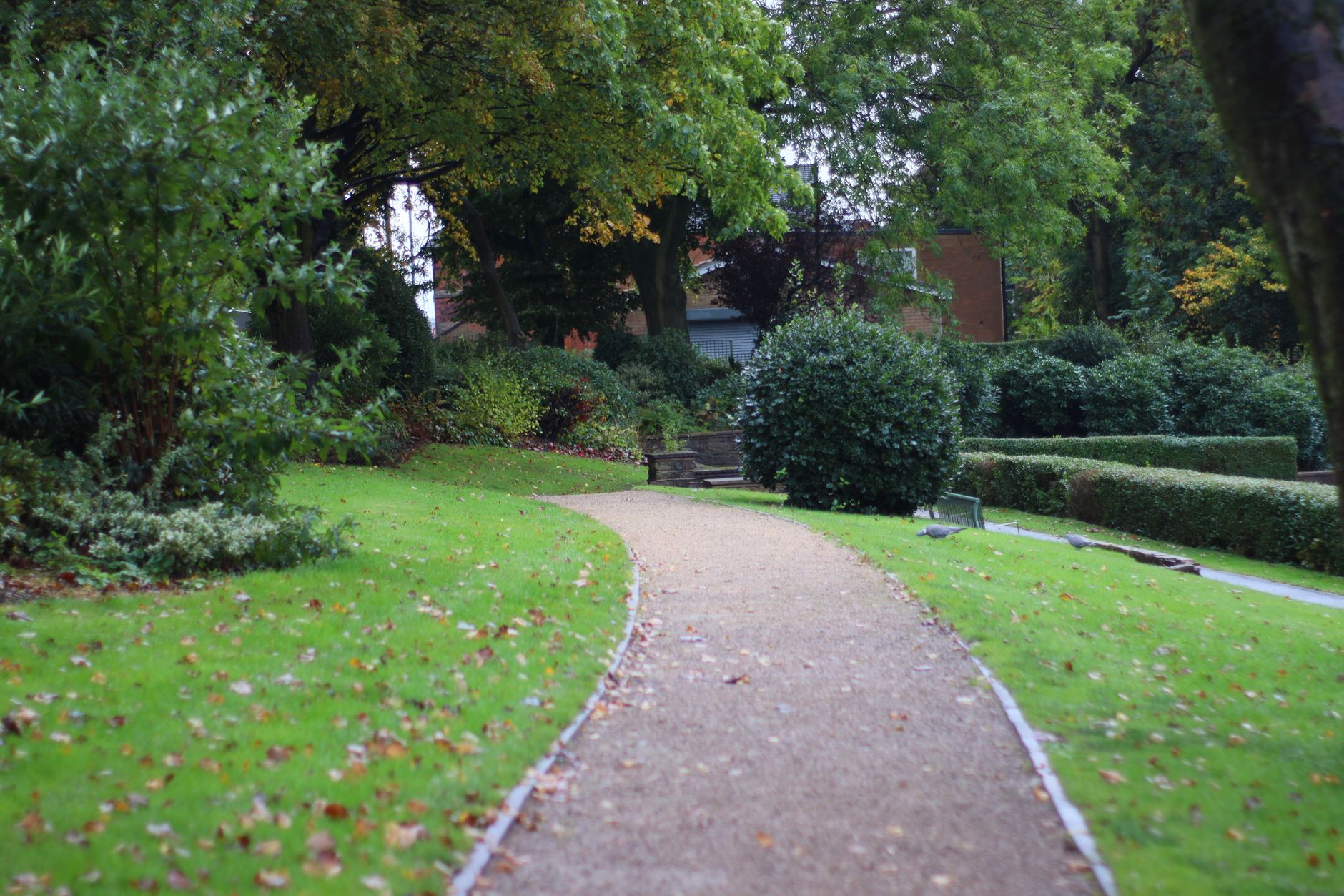 Allée en gravier entourée de verdure