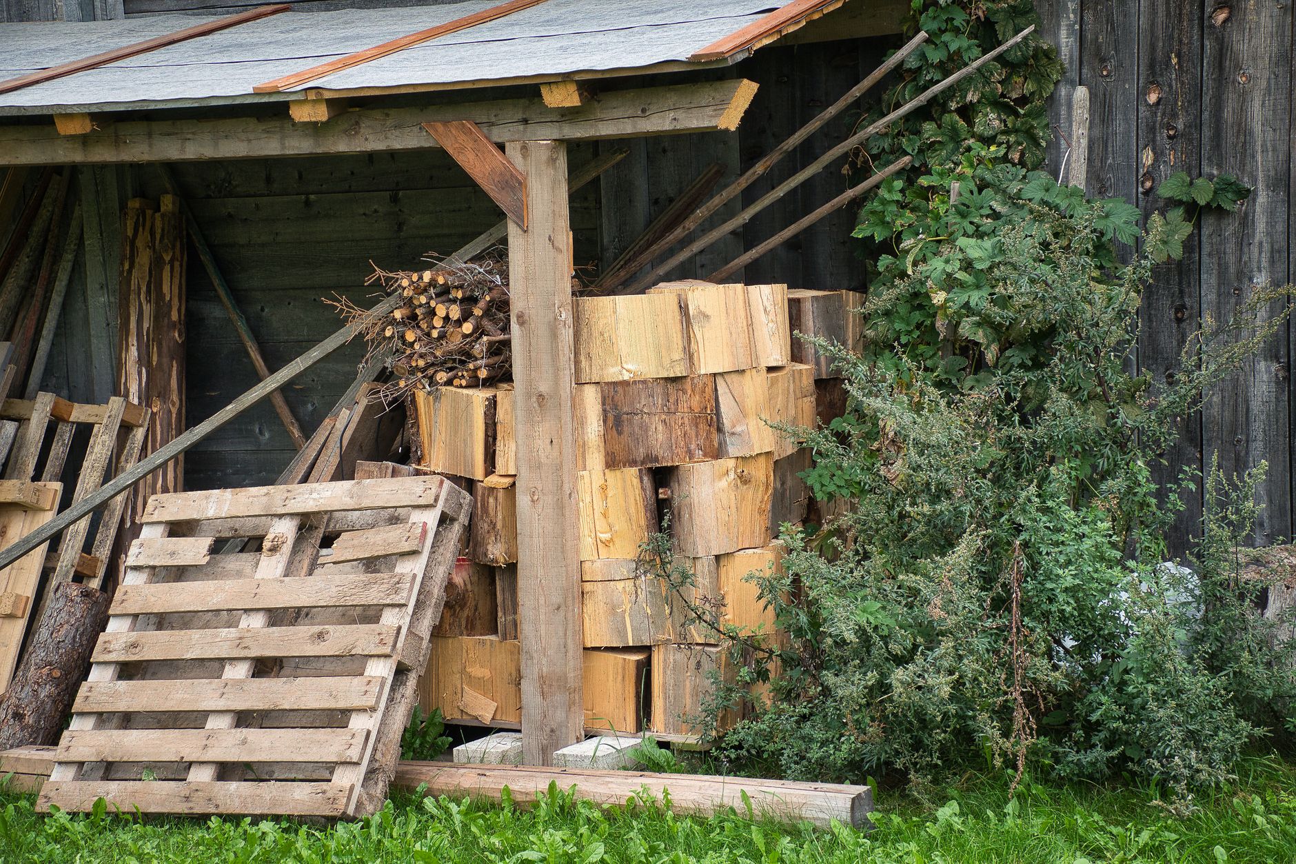 Tas de bois près d un abri de jardin à la campagne