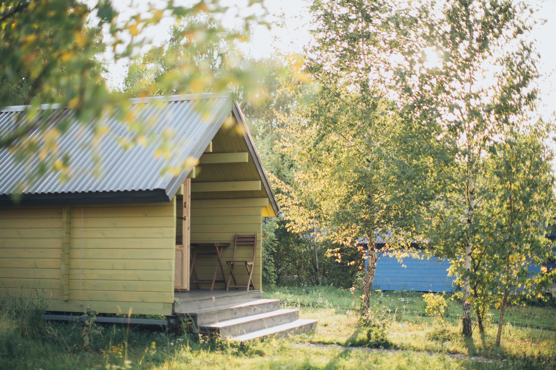 Cabane en bois entourée d arbres en forêt