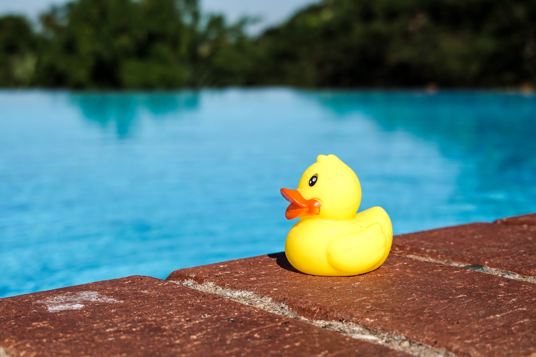 Canard en caoutchouc au bord de la piscine