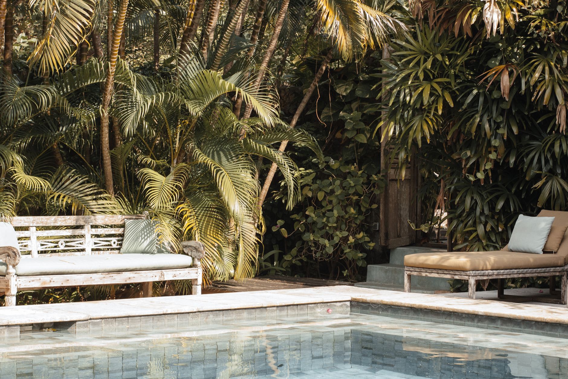 Coin piscine avec plantes et banc en bois