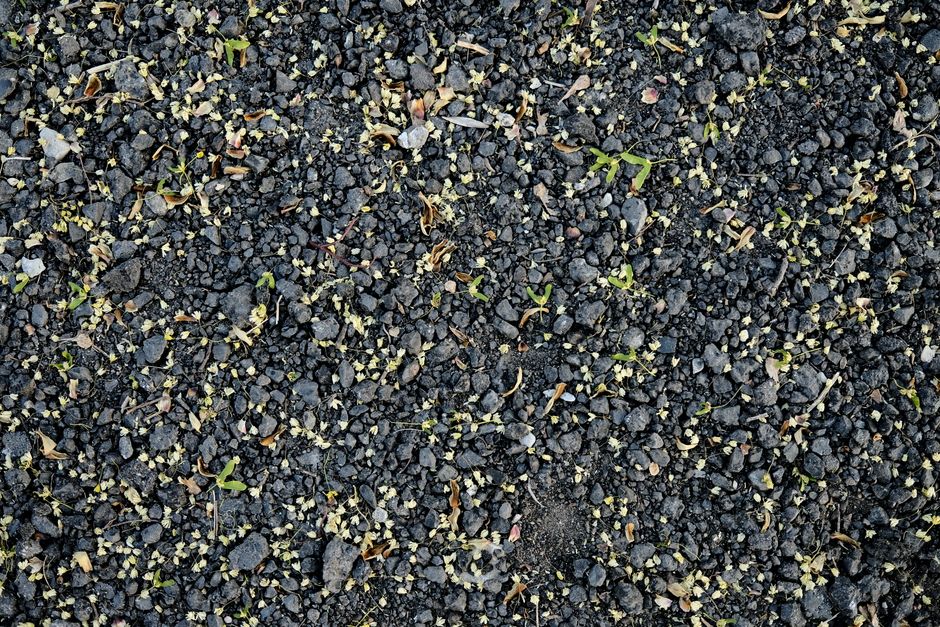 Quel gravier choisir pour un drainage qui dure ?