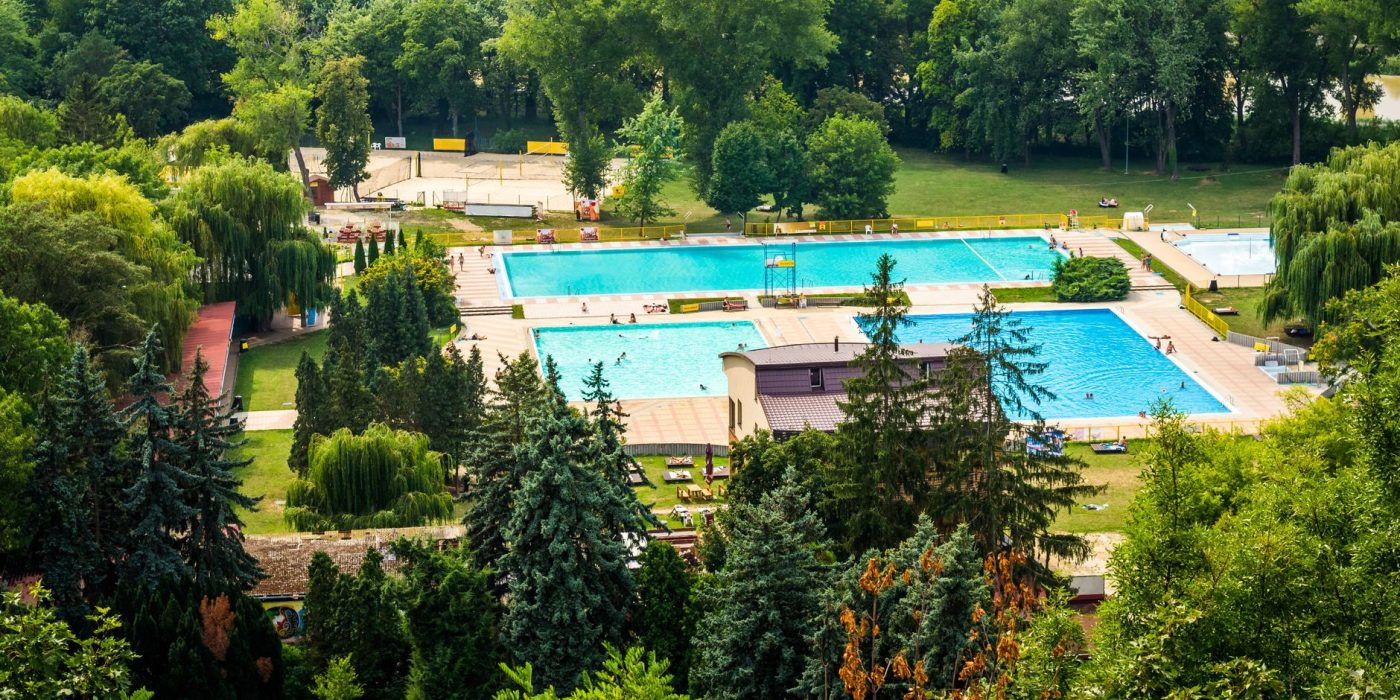 Quel arbre choisir autour de ta piscine ?