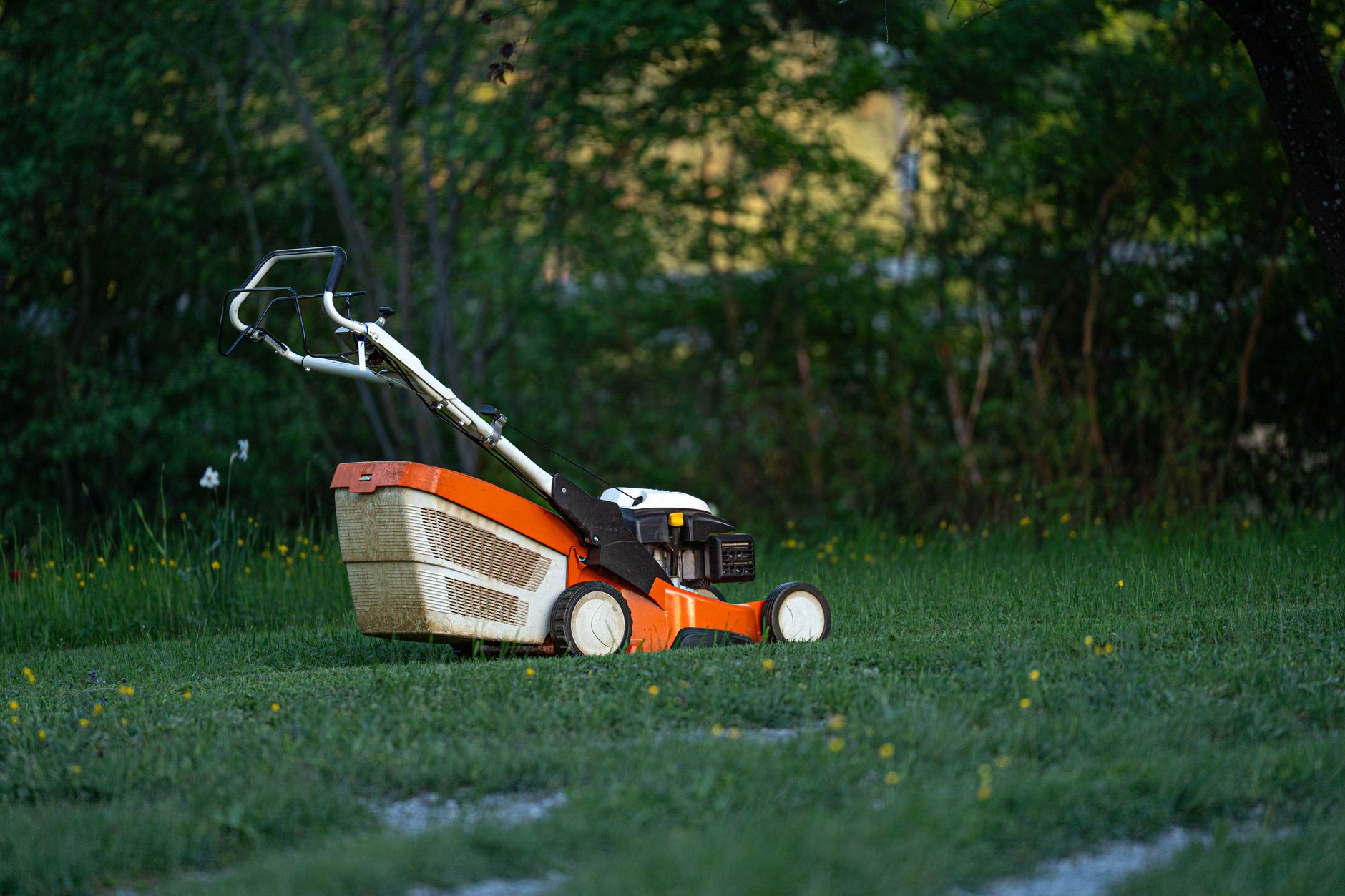 Tondeuse à gazon garée dans un jardin arrière