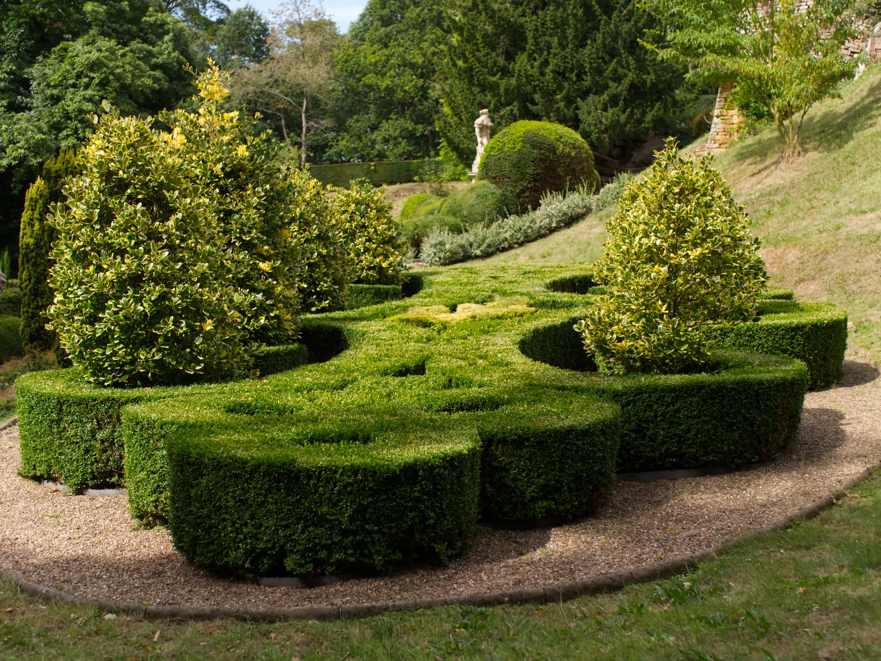 Arbustes taillés en formes dans un jardin