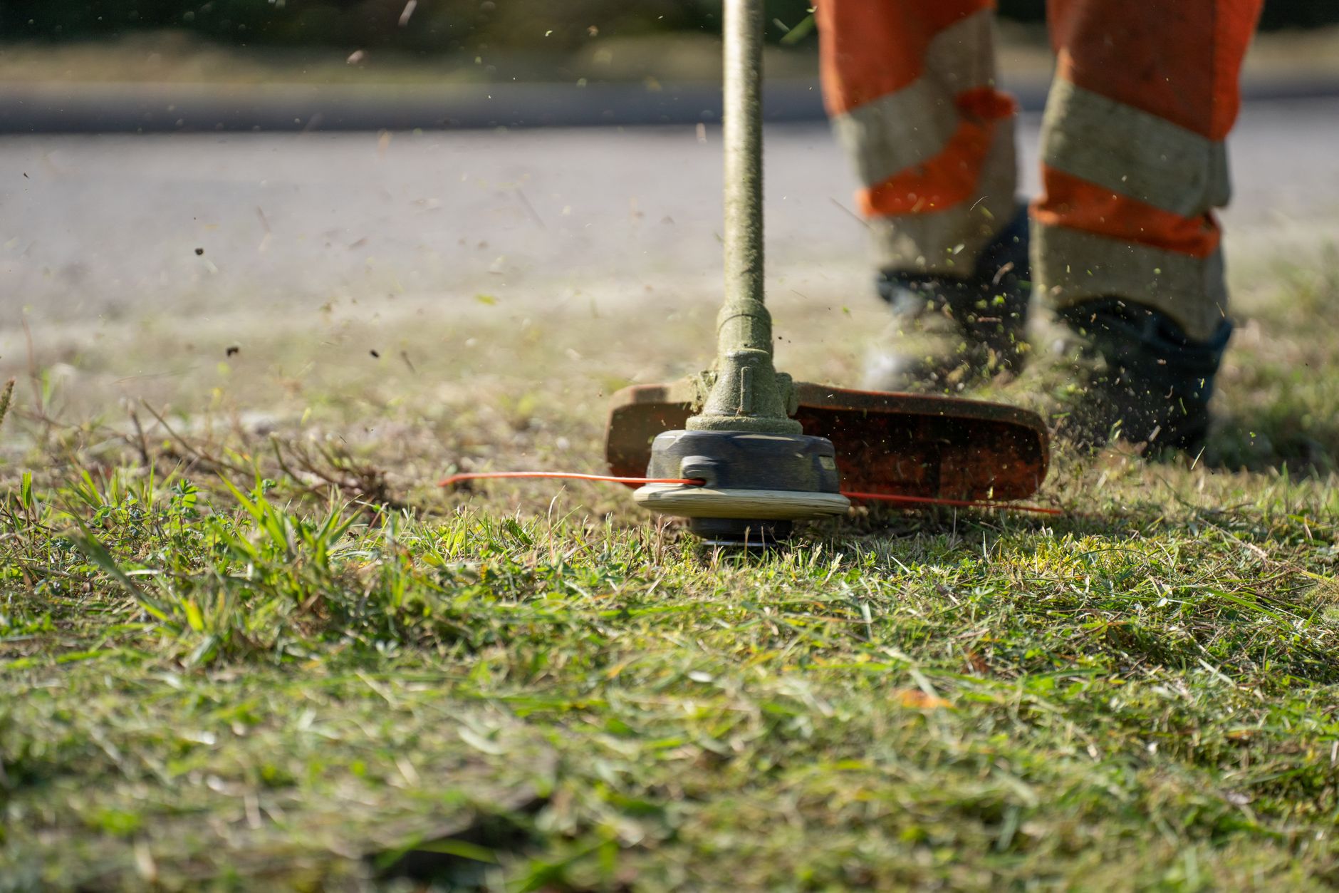Gros plan d’une débroussailleuse qui coupe l’herbe