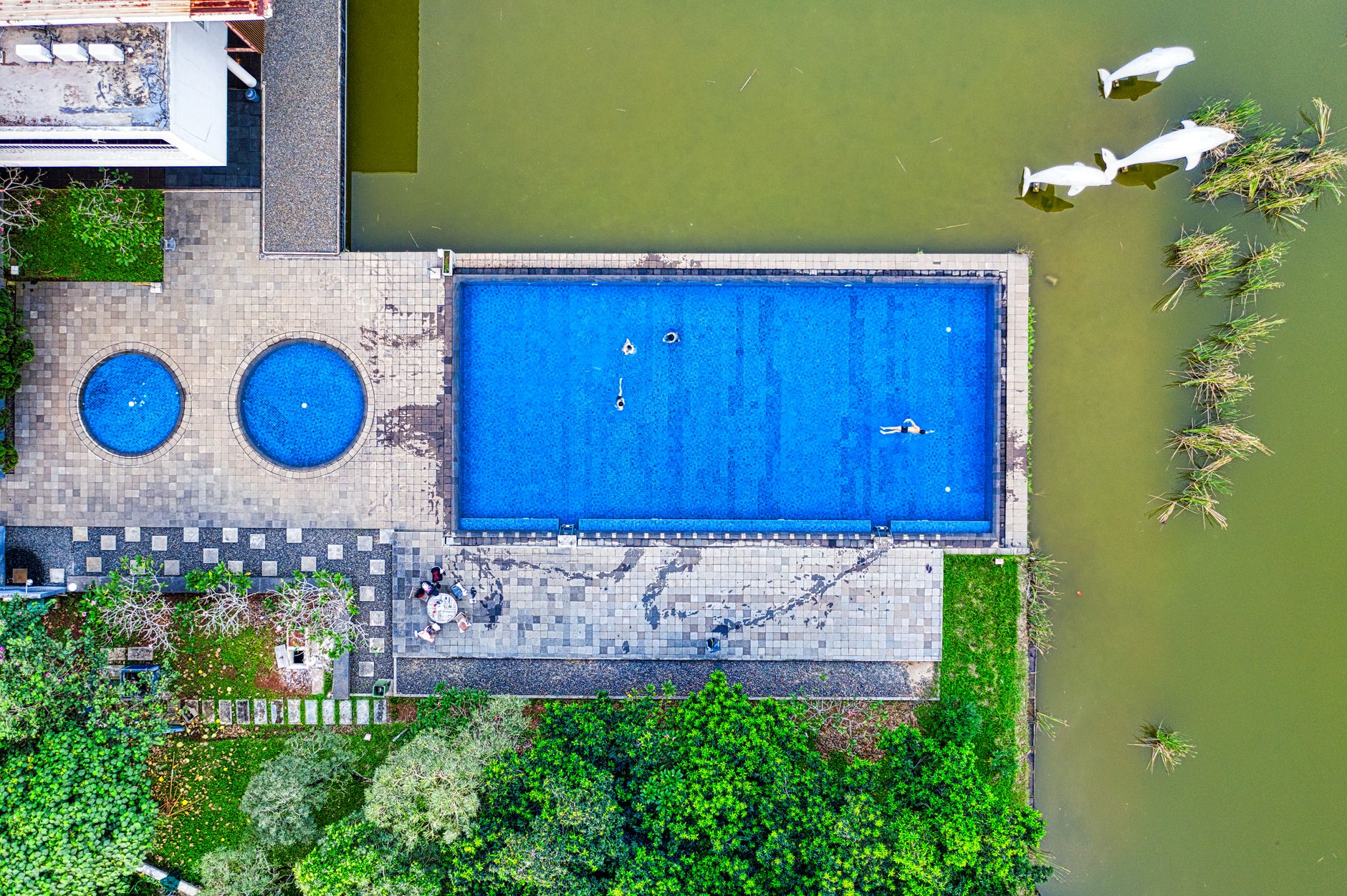 Vue aérienne d’une piscine et de son terrain